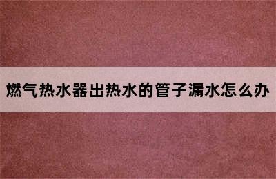 燃气热水器出热水的管子漏水怎么办