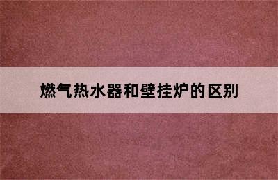 燃气热水器和壁挂炉的区别