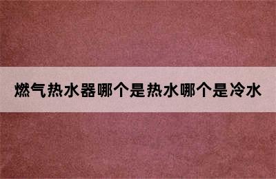 燃气热水器哪个是热水哪个是冷水