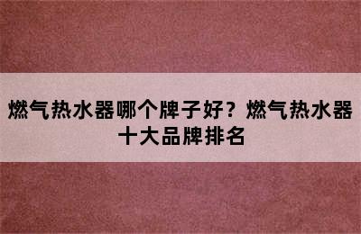 燃气热水器哪个牌子好？燃气热水器十大品牌排名