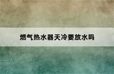 燃气热水器天冷要放水吗