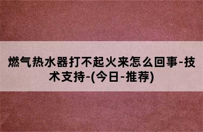 燃气热水器打不起火来怎么回事-技术支持-(今日-推荐)