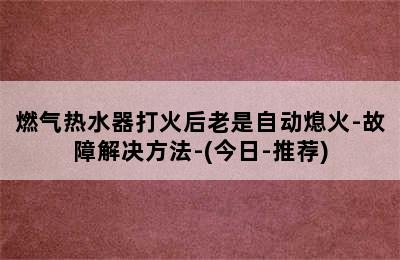 燃气热水器打火后老是自动熄火-故障解决方法-(今日-推荐)