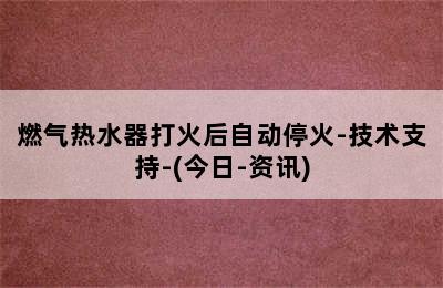 燃气热水器打火后自动停火-技术支持-(今日-资讯)