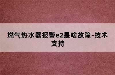 燃气热水器报警e2是啥故障-技术支持