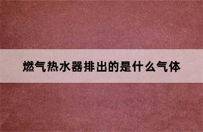 燃气热水器排出的是什么气体