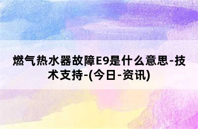 燃气热水器故障E9是什么意思-技术支持-(今日-资讯)