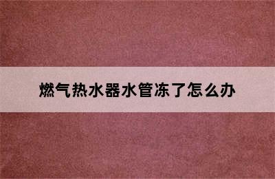 燃气热水器水管冻了怎么办