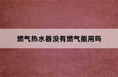 燃气热水器没有燃气能用吗