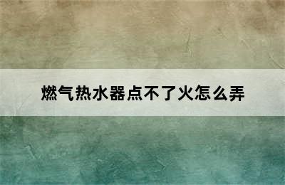 燃气热水器点不了火怎么弄