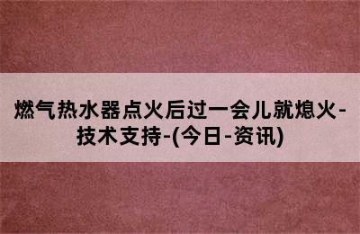 燃气热水器点火后过一会儿就熄火-技术支持-(今日-资讯)