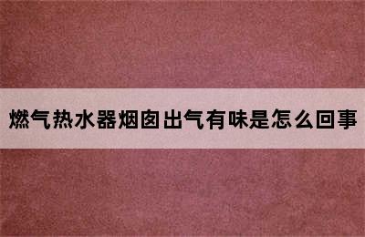 燃气热水器烟囱出气有味是怎么回事