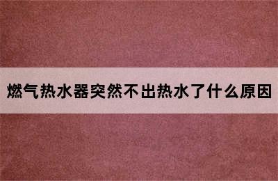 燃气热水器突然不出热水了什么原因