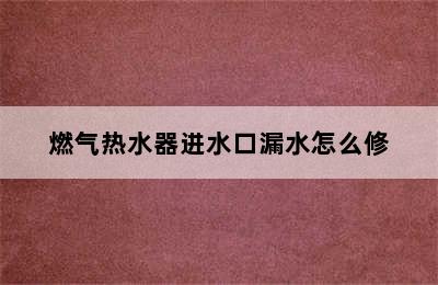 燃气热水器进水口漏水怎么修