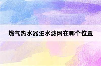 燃气热水器进水滤网在哪个位置