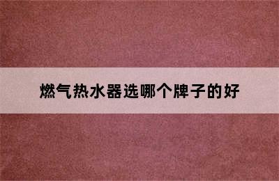 燃气热水器选哪个牌子的好