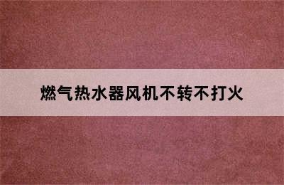 燃气热水器风机不转不打火