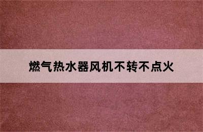 燃气热水器风机不转不点火