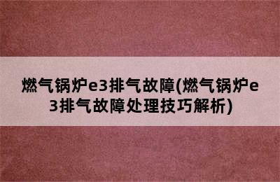 燃气锅炉e3排气故障(燃气锅炉e3排气故障处理技巧解析)