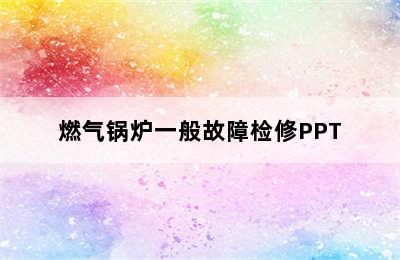 燃气锅炉一般故障检修PPT