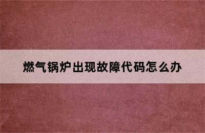 燃气锅炉出现故障代码怎么办