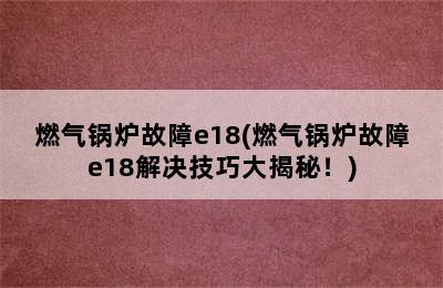 燃气锅炉故障e18(燃气锅炉故障e18解决技巧大揭秘！)