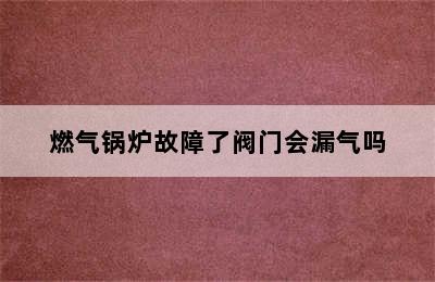 燃气锅炉故障了阀门会漏气吗