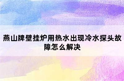 燕山牌壁挂炉用热水出现冷水探头故障怎么解决