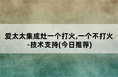 爱太太集成灶一个打火,一个不打火-技术支持(今日推荐)