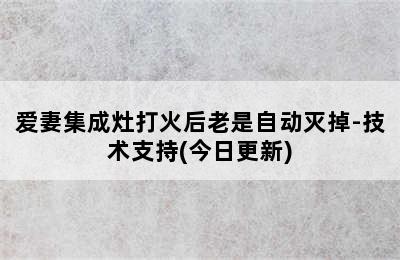 爱妻集成灶打火后老是自动灭掉-技术支持(今日更新)