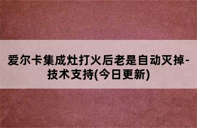 爱尔卡集成灶打火后老是自动灭掉-技术支持(今日更新)