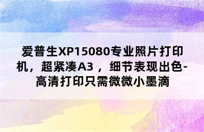 爱普生XP15080专业照片打印机，超紧凑A3+，细节表现出色-高清打印只需微微小墨滴