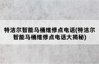 特洁尔智能马桶维修点电话(特洁尔智能马桶维修点电话大揭秘)