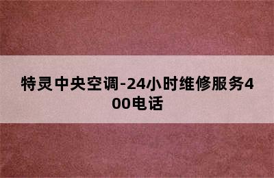 特灵中央空调-24小时维修服务400电话