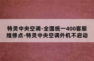 特灵中央空调-全国统一400客服维修点-特灵中央空调外机不启动