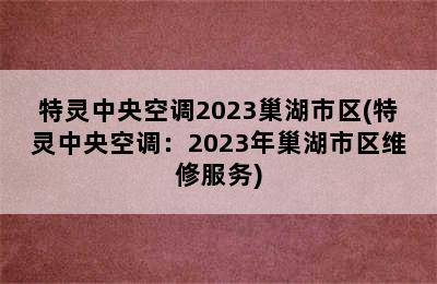 特灵中央空调2023巢湖市区(特灵中央空调：2023年巢湖市区维修服务)