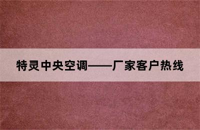 特灵中央空调——厂家客户热线