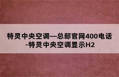 特灵中央空调—总部官网400电话-特灵中央空调显示H2