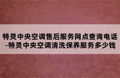 特灵中央空调售后服务网点查询电话-特灵中央空调清洗保养服务多少钱