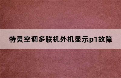 特灵空调多联机外机显示p1故障