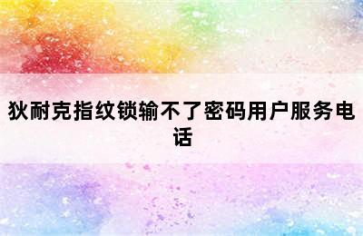 狄耐克指纹锁输不了密码用户服务电话