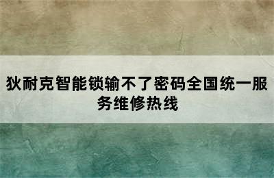 狄耐克智能锁输不了密码全国统一服务维修热线