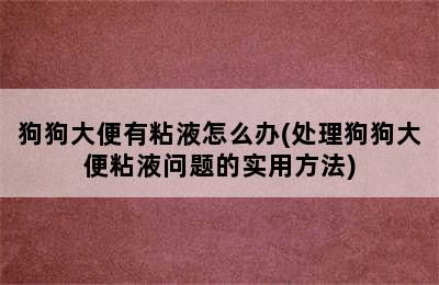 狗狗大便有粘液怎么办(处理狗狗大便粘液问题的实用方法)