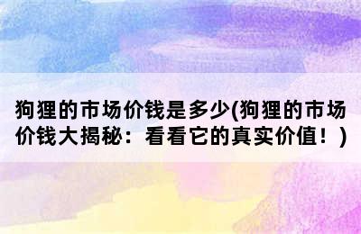 狗狸的市场价钱是多少(狗狸的市场价钱大揭秘：看看它的真实价值！)