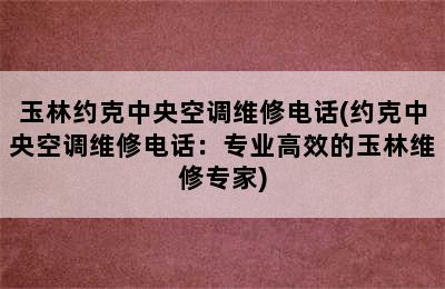 玉林约克中央空调维修电话(约克中央空调维修电话：专业高效的玉林维修专家)