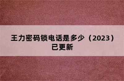 王力密码锁电话是多少（2023）已更新