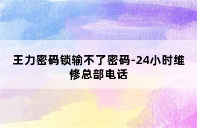 王力密码锁输不了密码-24小时维修总部电话