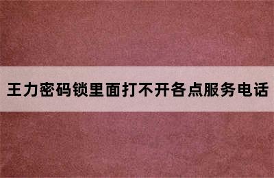 王力密码锁里面打不开各点服务电话