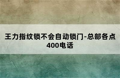 王力指纹锁不会自动锁门-总部各点400电话