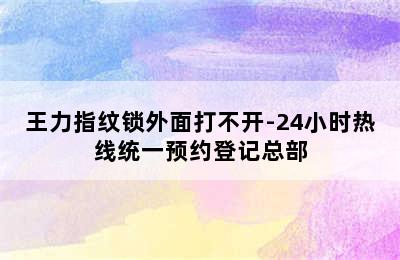 王力指纹锁外面打不开-24小时热线统一预约登记总部